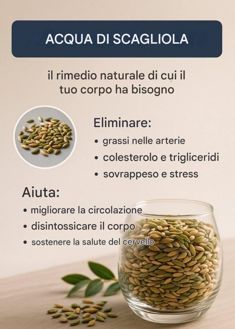 Benefici dell'acqua con semi per uccelli...