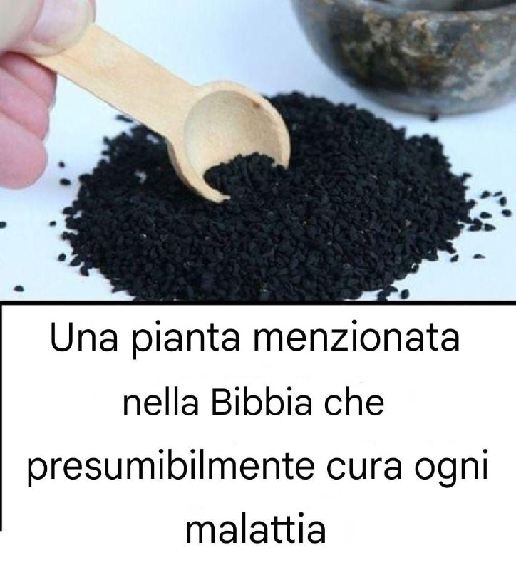 L'erba biblica, a lungo apprezzata per le sue proprietà curative, è ora nota per i suoi profondi effetti sulla salute.