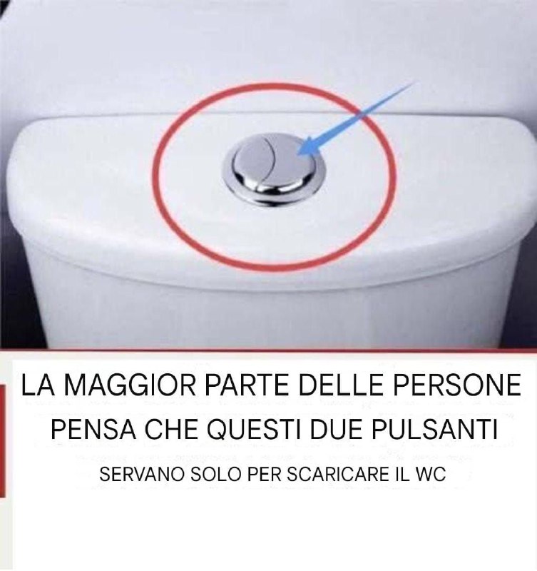 Molte persone pensano che questi due pulsanti servano solo per lo scarico del WC.