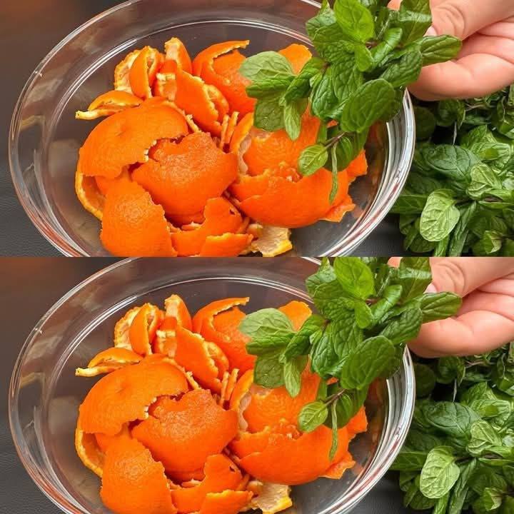 Elisir di Salute dalle Bucce di Mandarino: Una Ricetta Antica che Sostituisce la Farmacia"