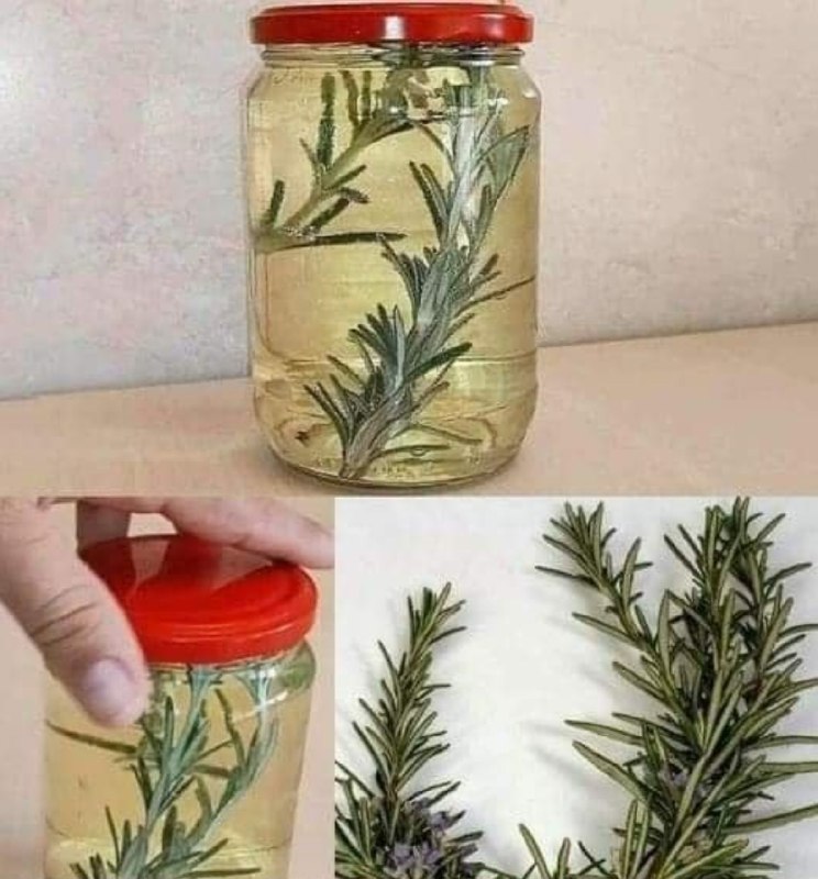 Il Segreto del Profumo Magico: Rosmarino e Chiodi di Garofano, la Combinazione che Trasforma Ogni Ricetta!