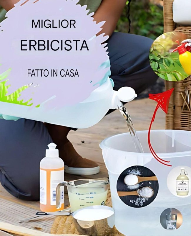 Il miglior diserbante naturale fatto in casa: semplice, veloce e incredibilmente efficace! (Erbe aromatiche essiccate in 2 ore)