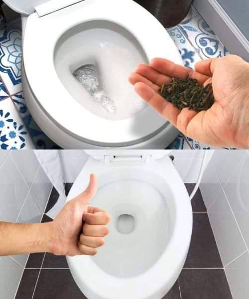 Bagno sempre fresco: il rimedio casalingo che neutralizza ogni cattivo odore di urina!"