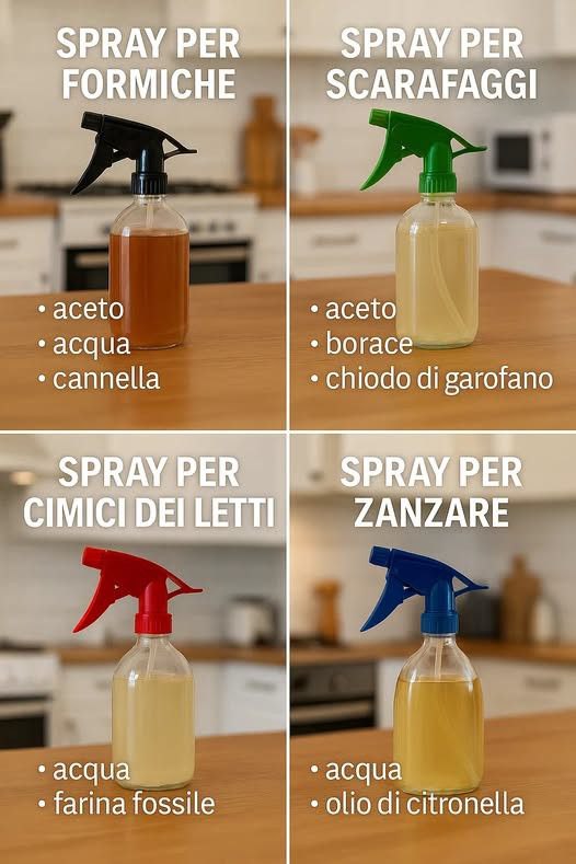 Spray Magico Fai-da-Te: Il Rimedio Naturale per Dire Addio a Insetti e Parassiti"
