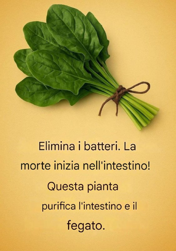 Alimenti che aiutano a depurare il corpo