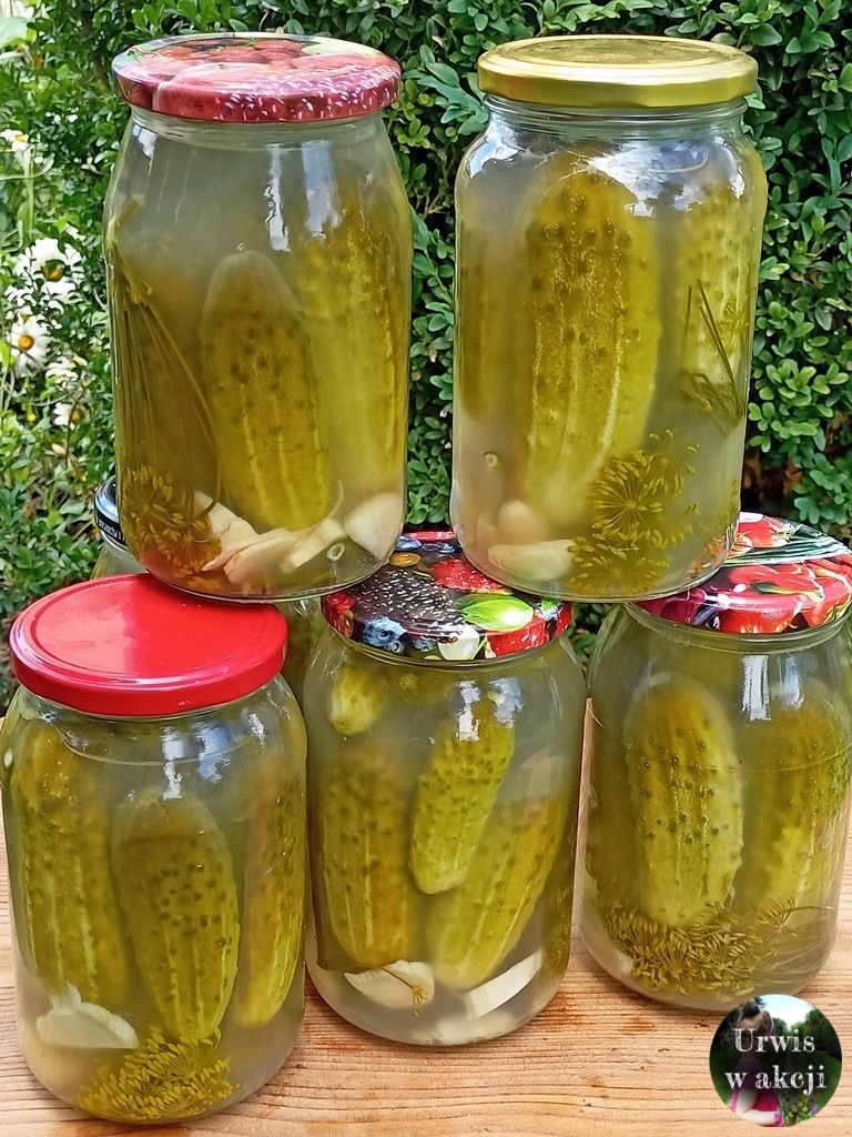 “Il Segreto di Mia Suocera per Cetrioli Sottaceto Croccanti dal Cuore Dorato”