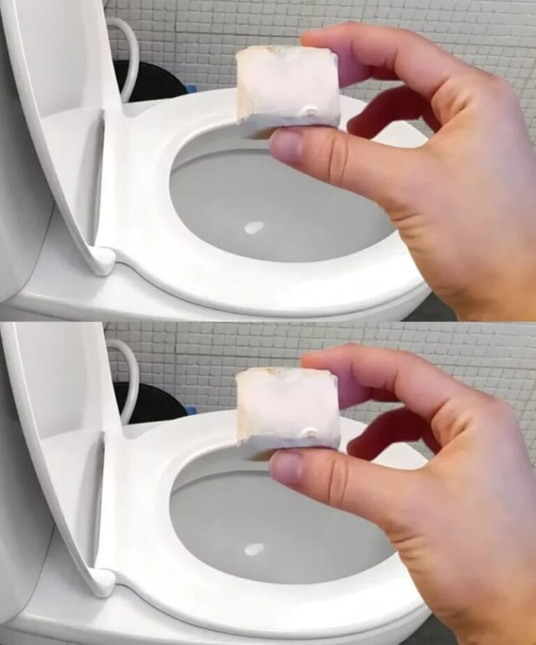 "Il Trucco del Lievito nel WC: Il Rimedio Notturno Che Cambierà la Tua Routine Domestica"