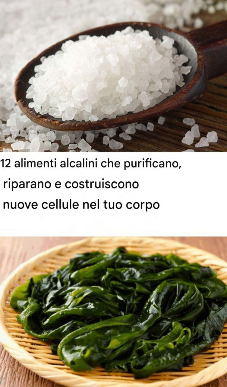 12 alimenti alcalini che purificano, riparano e costruiscono nuove cellule nel corpo