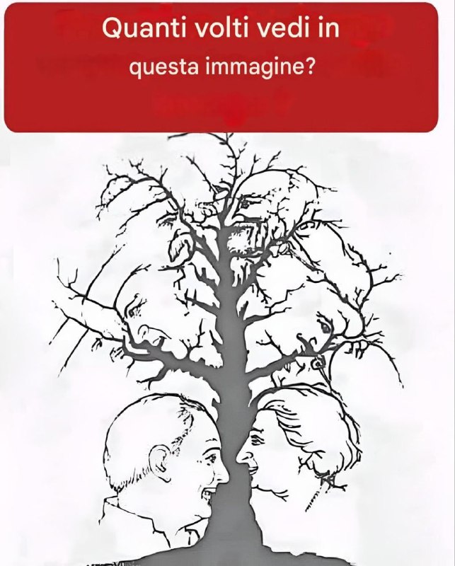 Illusione ottica: quanti volti vedi in questo disegno?