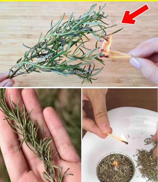Brucia un rametto di rosmarino in casa e guarda cosa succede dopo 10 minuti