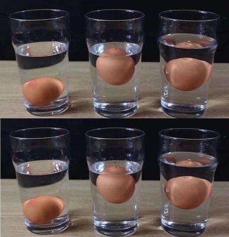 5 modi per capire se un uovo è fresco o marcio