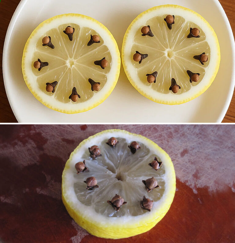 Come tenere lontane le mosche e profumare la cucina