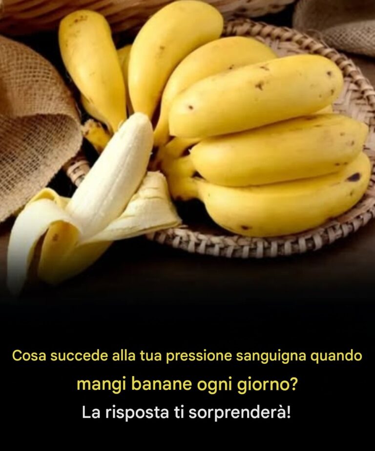 Articolo completo nel primo commento