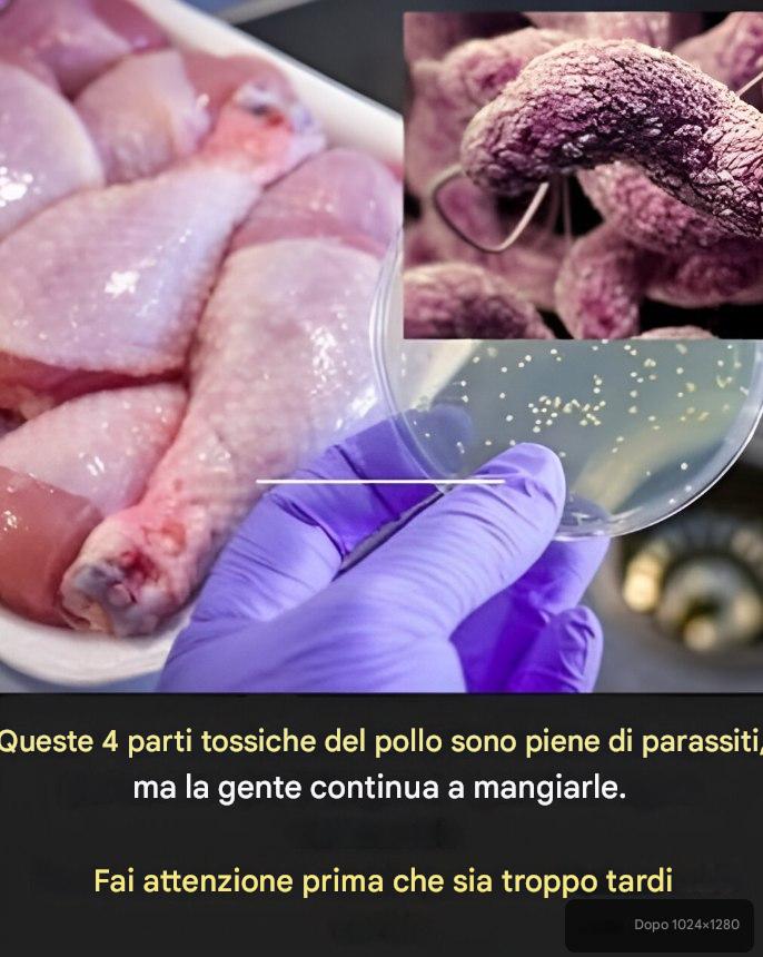 Queste 4 parti tossiche del pollo sono piene di parassiti, eppure la gente continua a mangiarle. Fate attenzione prima che sia troppo tardi.