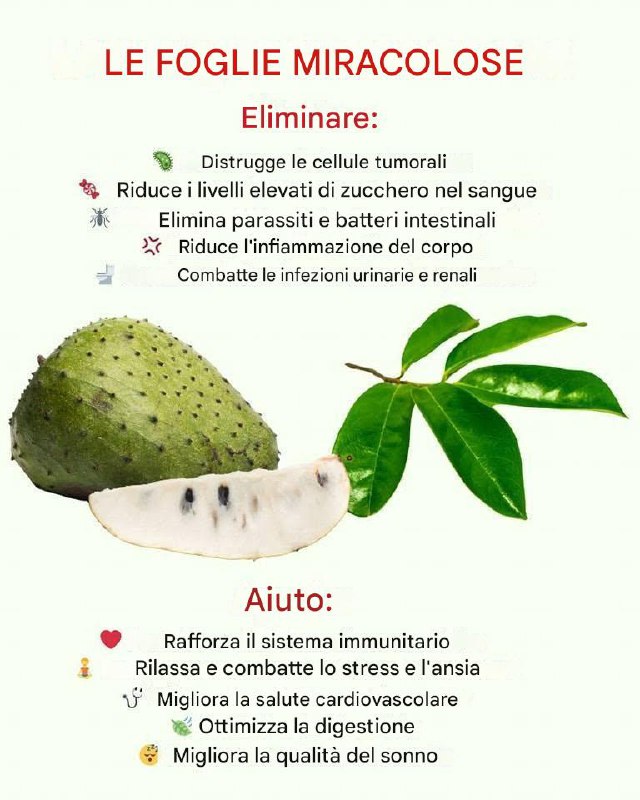 Il graviola e i suoi incredibili benefici contro l'ipertensione