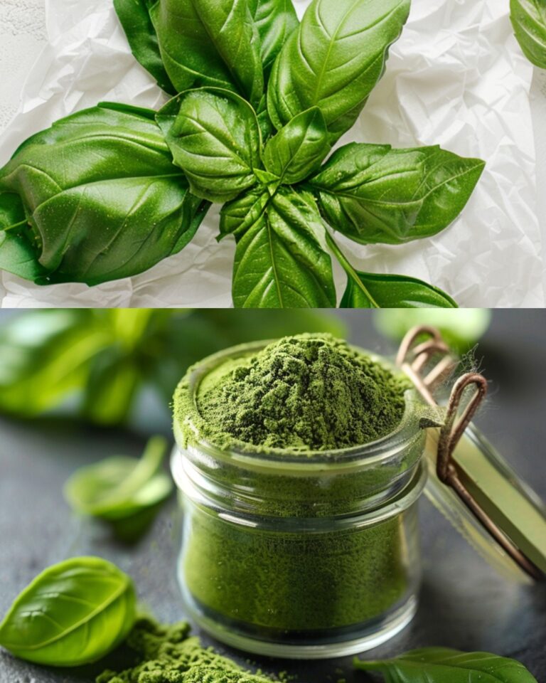 Polvere di Basilico: L’Essenza Verde che Esalta Ogni Piatto”