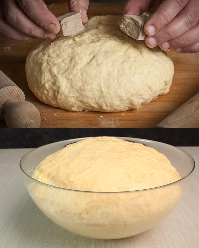 "Il Segreto della Pizza Perfetta? Tutto Parte da un Grammo di Lievito!"