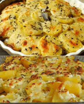 "Il Gratin di Patate più Cremoso di Sempre: Croccante Fuori, Morbido Dentro!"