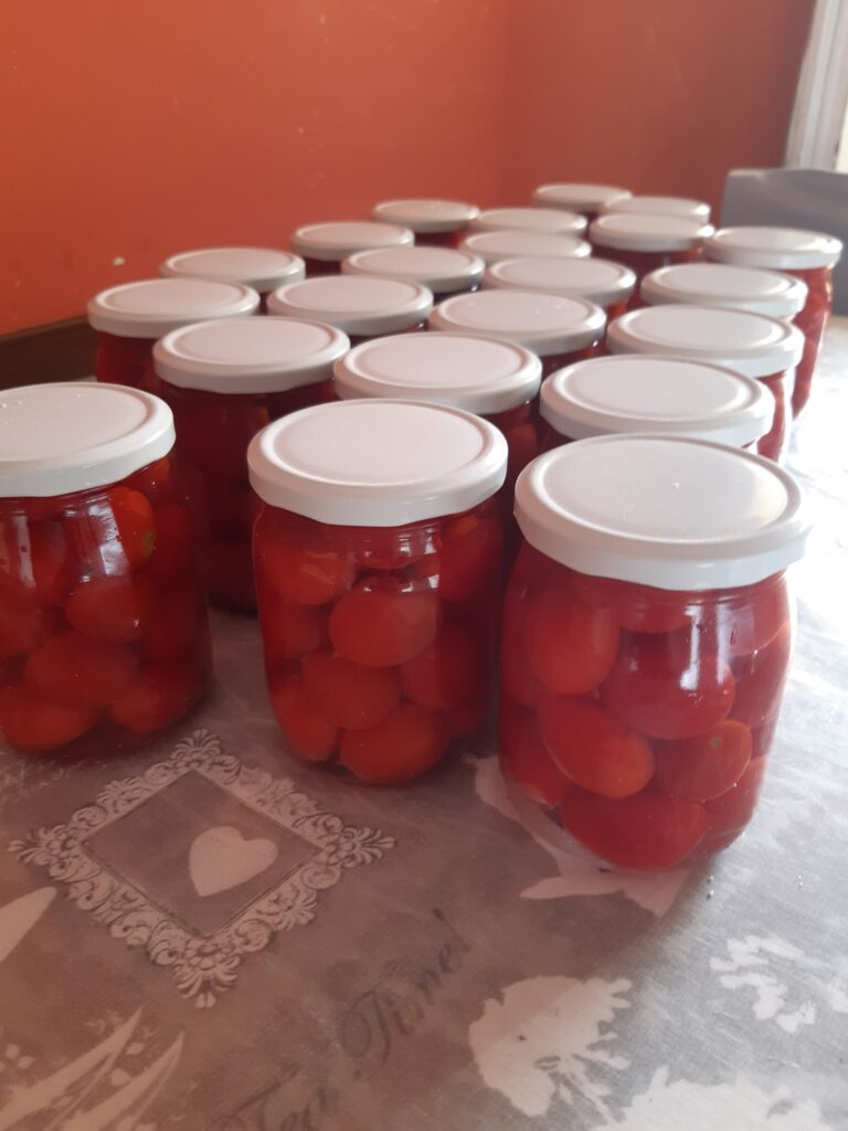 Pomodorini d’Inverno: La Magia del Sole Estivo in un Barattolo”