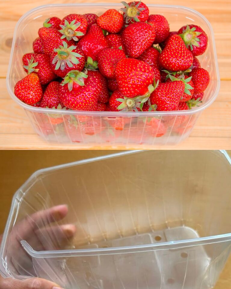 Non buttare quelle vaschette delle fragole: trasformale in golosi dessert monoporzione!