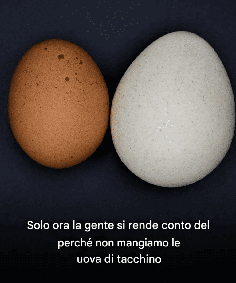 Solo ora la gente si sta rendendo conto del perché non mangiamo le uova di tacchino