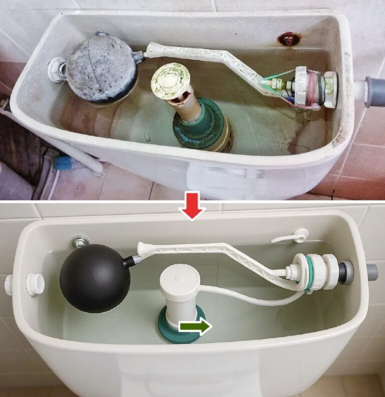 Cassetta WC splendente: il metodo naturale per pulirla e igienizzarla a fondo"