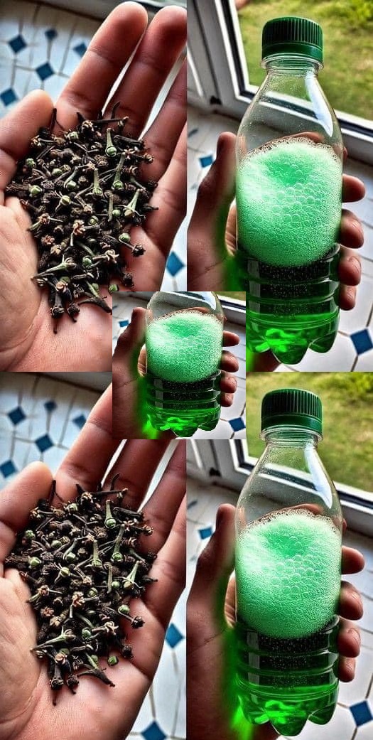 Come eliminare l'odore di urina dal bagno e lasciare un profumo gradevole