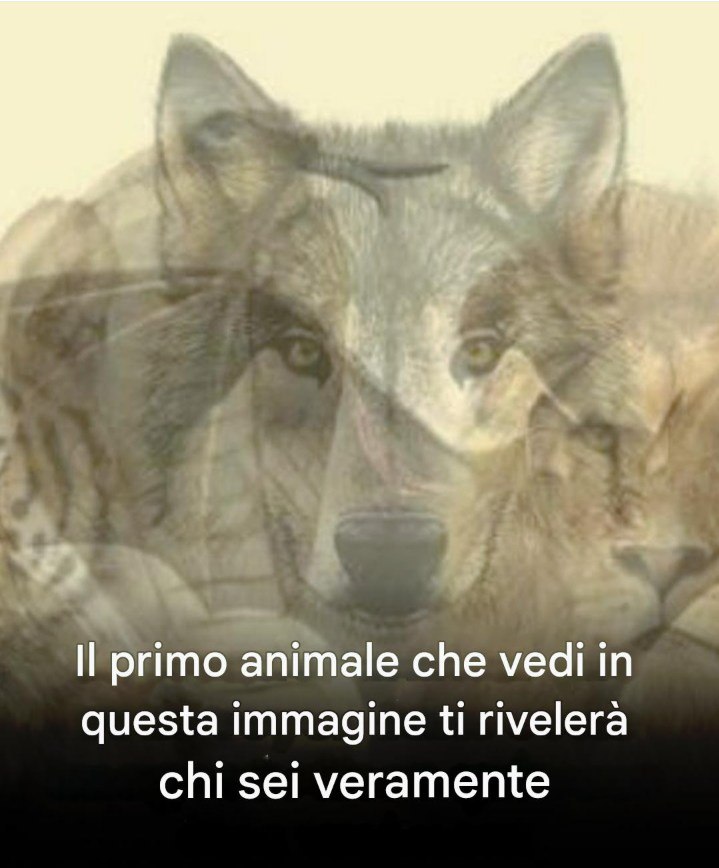 Il primo animale che vedi in questa immagine ti rivelerà chi sei