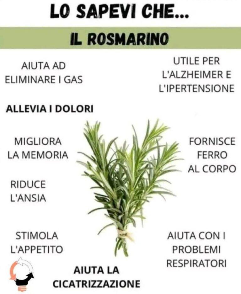 Le proprietà del rosmarino...