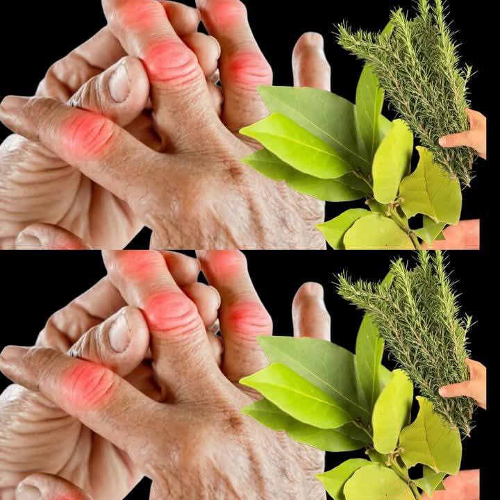 L'alloro è un milione di volte più forte di qualsiasi unguento. Correrai come un adolescente. *Per favore, abbiamo bisogno del tuo aiuto per rimanere su questo social network. Dì qualcosa sui nostri messaggi (sì, anche "yummy" o una faccina sorridente) o spariremo del tutto.