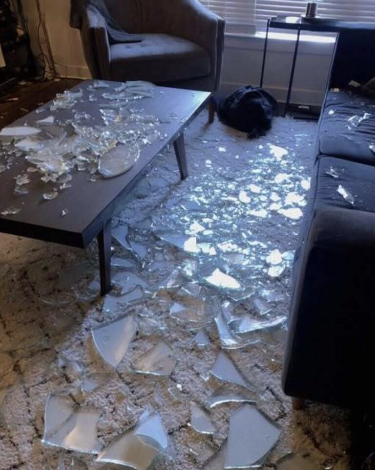 La mia matrigna ha rotto un prezioso cristallo appartenuto alla mia defunta madre. Non sapeva di essere stata ingannata!