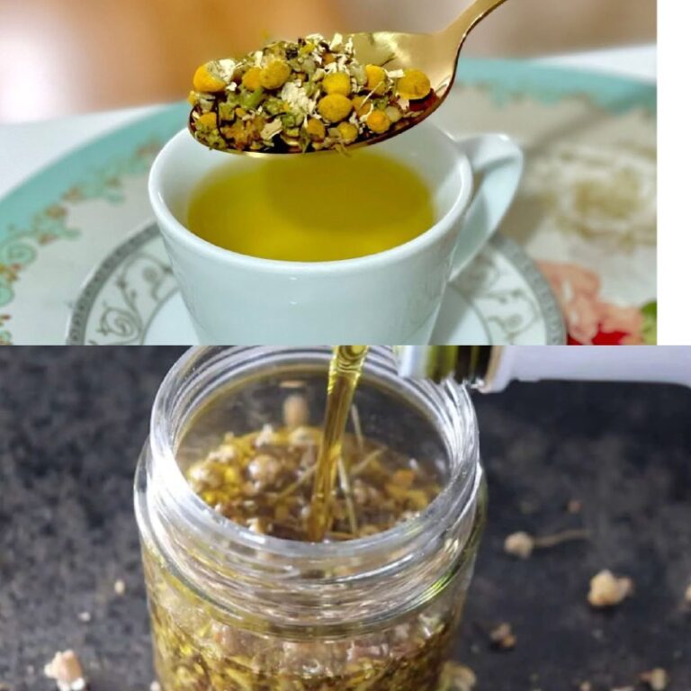 L’elisir di camomilla: il segreto naturale per curare corpo e mente in un solo gesto al giorno