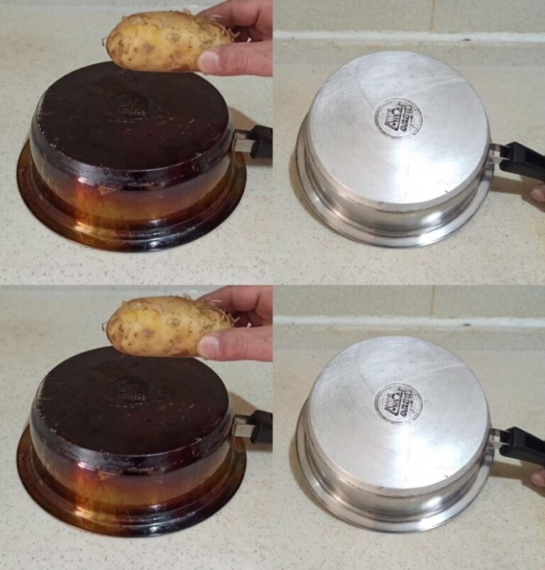 Pentole come nuove: la guida definitiva per rimuovere il fondo bruciato in modo naturale ed efficace