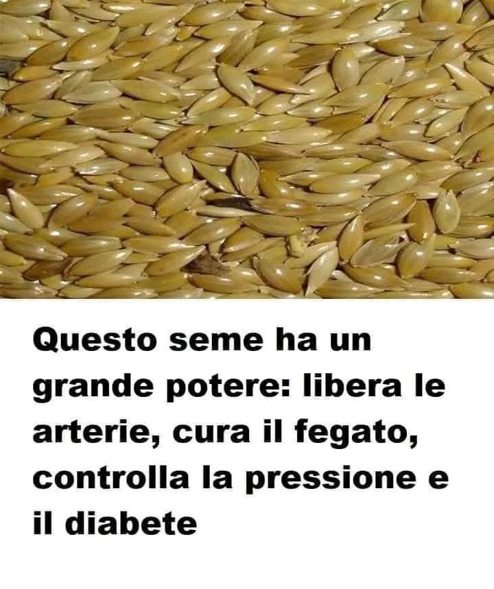 “9 Super Alimenti Dopo i 40: Energia, Salute e Lunga Vita a Tavola”