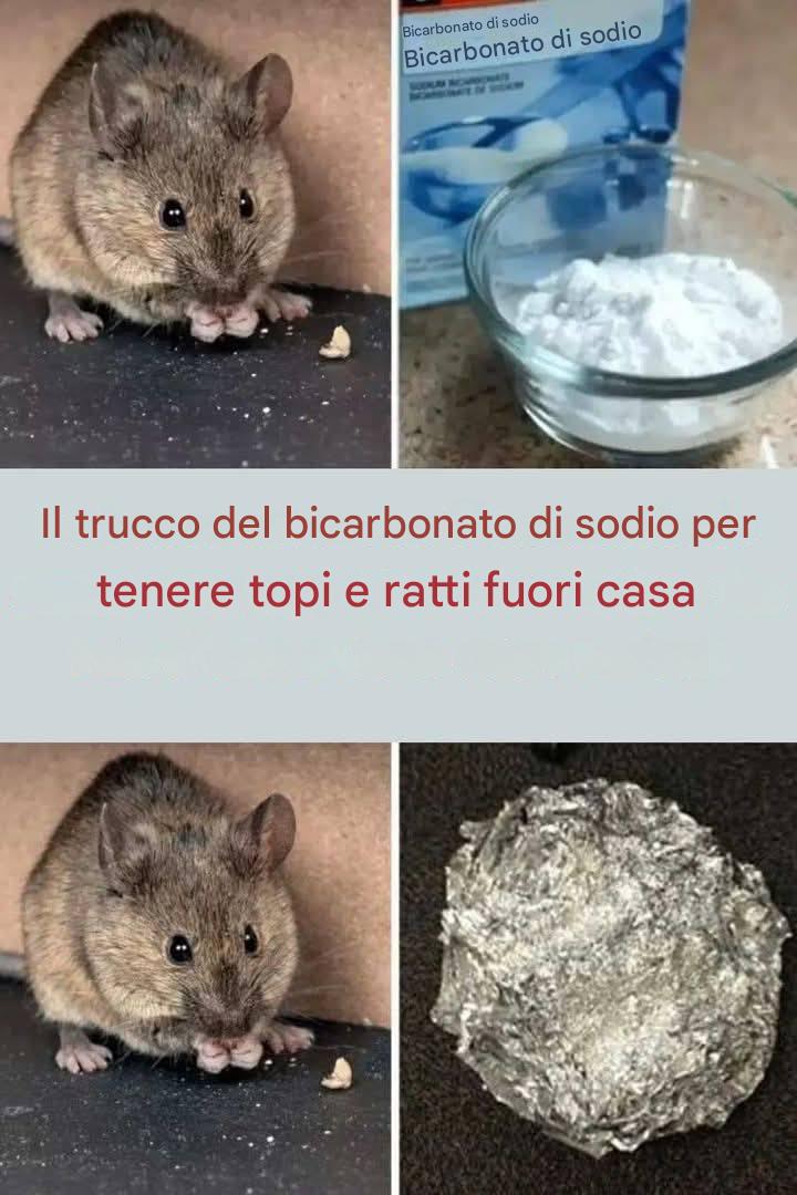 Il trucco del bicarbonato di sodio per tenere topi e ratti fuori casa