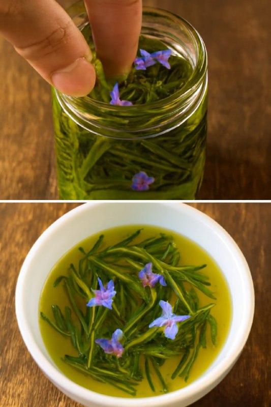 Oleolito al rosmarino: il segreto naturale per bellezza e benessere fatto in casa