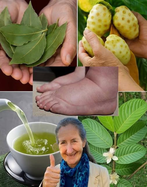 Il tonico naturale che rigenera: sollievo per piedi gonfi, equilibrio glicemico e circolazione sana