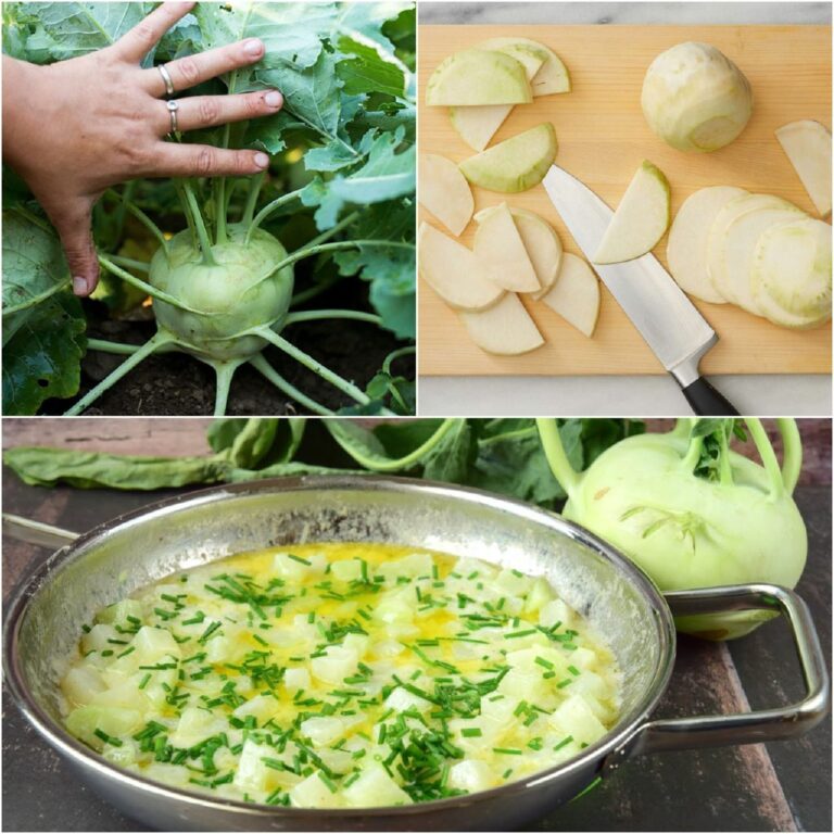 Scopri il piacere di cucinare con il cavolo rapa: una ricetta deliziosa e sana che amerai