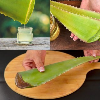 1000 volte più forte del Botox! Collagene naturale con aloe vera! Elimina tutte le rughe.