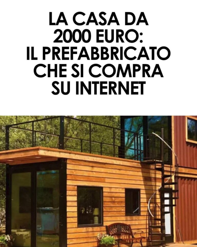 Costa meno di uno smartphone e si compra online con un clic: la micro casa da 2.000 euro è reale, ma non è per tutti