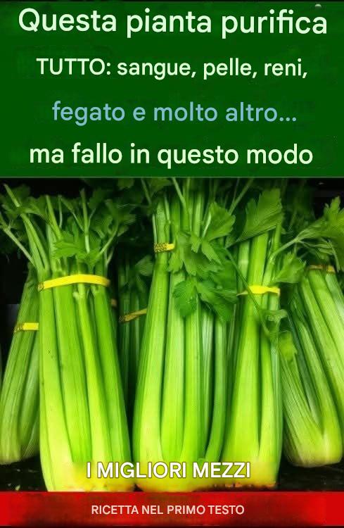 Mangiare sedano ogni giorno potrebbe avere un impatto negativo sul tuo corpo.