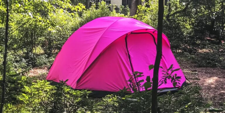 Quando sono tornata a casa dal funerale di mia figlia, ho trovato una tenda in giardino: sono impallidita quando ho visto cosa ho trovato dentro.