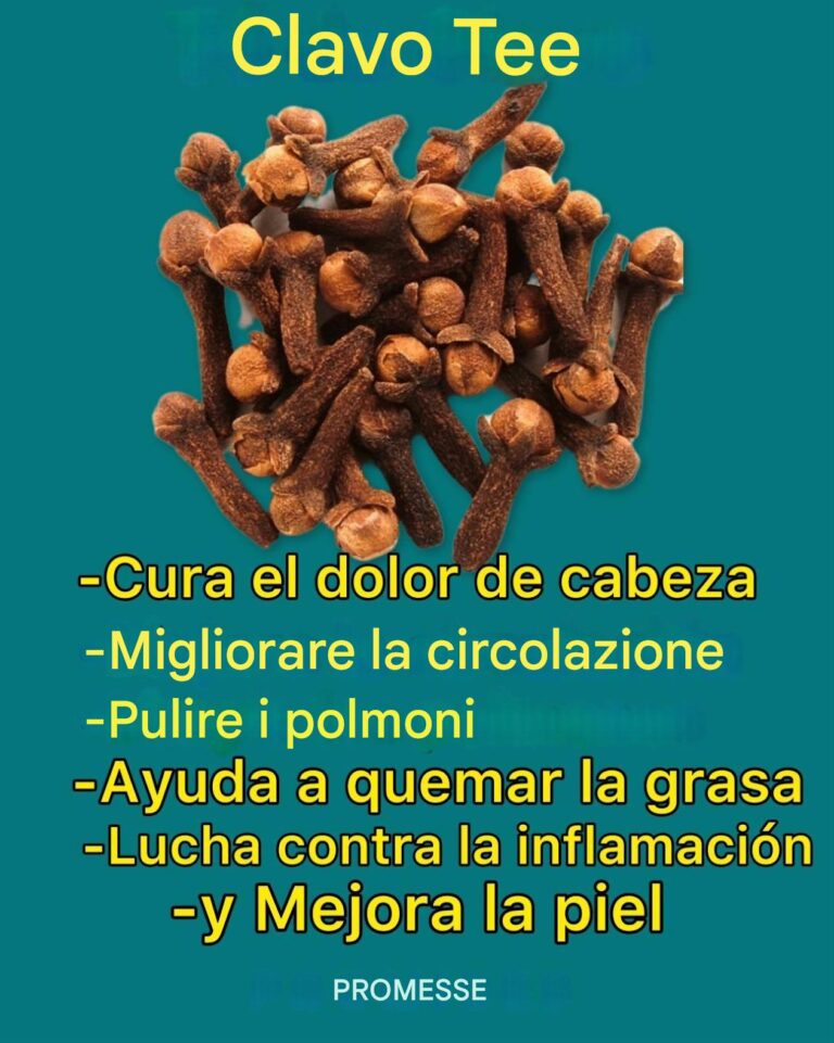 IL TÉ DE CLAVO DE OLOR