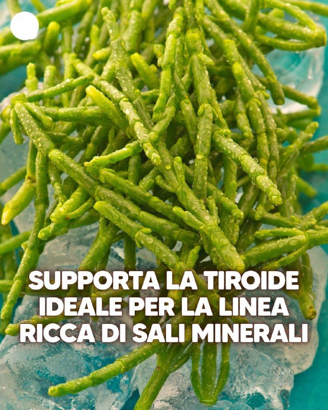 Zucchine Light e Gustose: un toccasana naturale in cucina