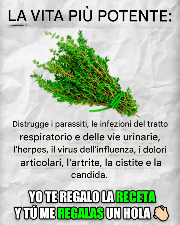 Assenzio: un’erba potente contro i parassiti intestinali