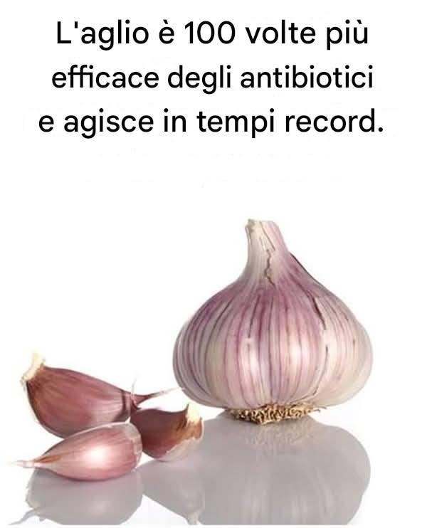 L'aglio è 100 volte più efficace degli antibiotici e agisce in tempi record