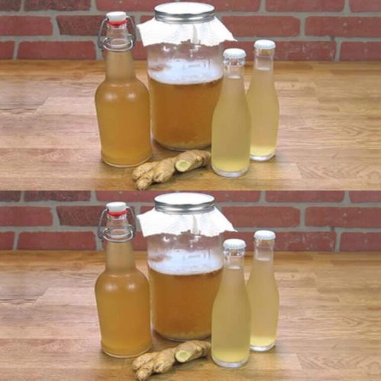 Come preparare l’acqua allo zenzero per bruciare il grasso della pancia