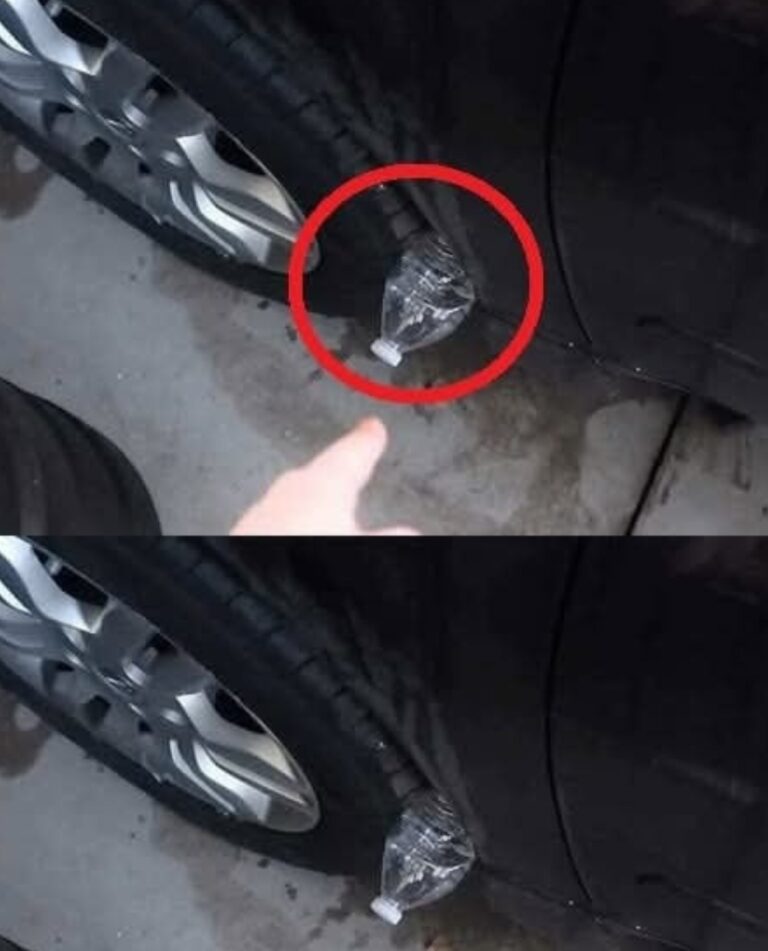 Se vedi una bottiglia di plastica sul tuo pneumatico : decodificare superstizioni, scherzi e indizi sulla sicurezza