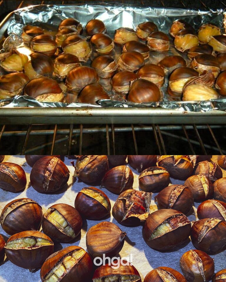 Castagne al Forno: L’alternativa più salutare alle caldarroste