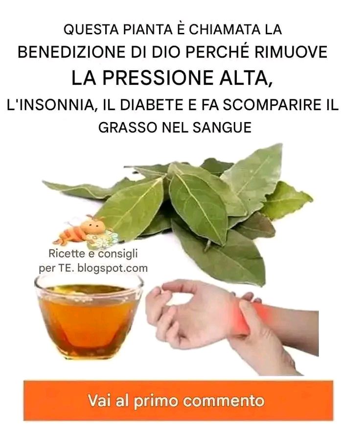 Tra le altre cose lalloro è molto utile per combattere